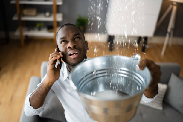 Trusted Elwood, IN Water damage restoration Experts