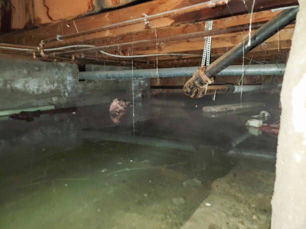 Best Commercial water damage restoration  in Elwood, IN