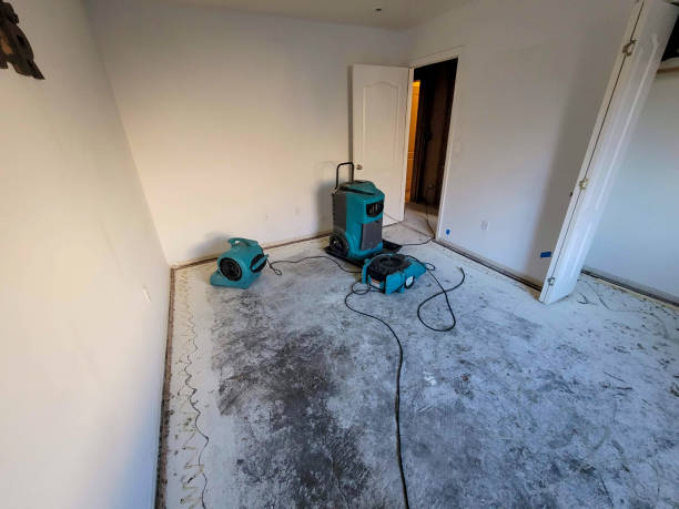 Best Water damage restoration insurance claims  in Elwood, IN