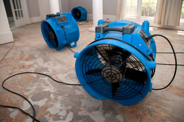 Best Water damage restoration near me  in Elwood, IN