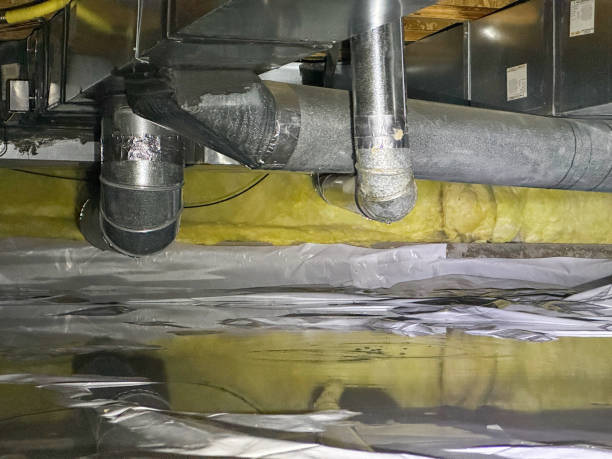 Best 24/7 water damage repair  in Elwood, IN