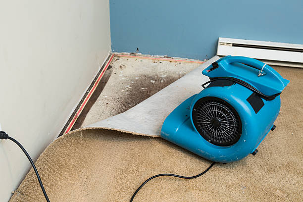 Best Carpet water damage restoration  in Elwood, IN